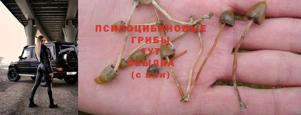 прущий лед Вяземский