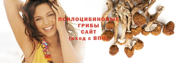 прущий лед Вязники