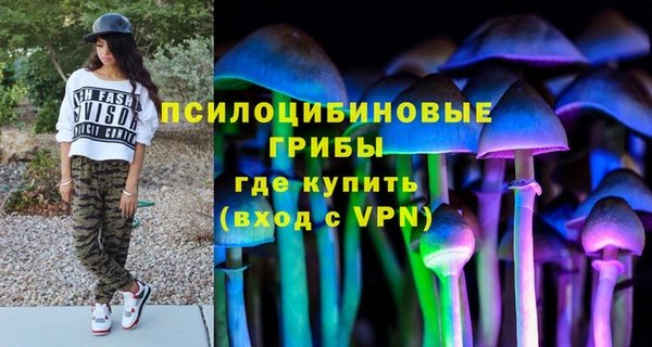 бутират Горняк