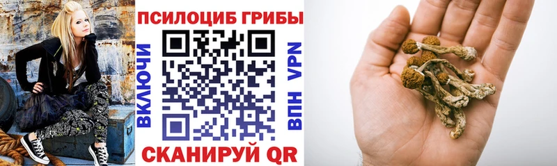 Галлюциногенные грибы GOLDEN TEACHER  цены наркотик  Новочеркасск 